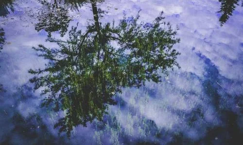 王者荣耀安全验证